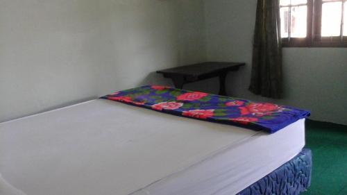 Букиттинги: Beach Guest House
