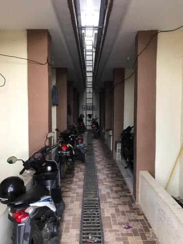 Бандар-Лампунг: Pratama home stay