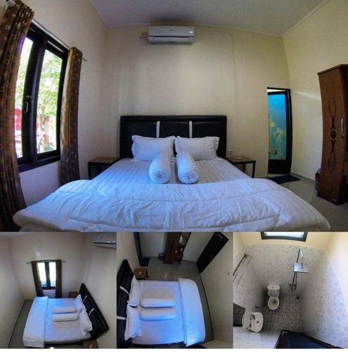 Белитунг: Homestay belitung