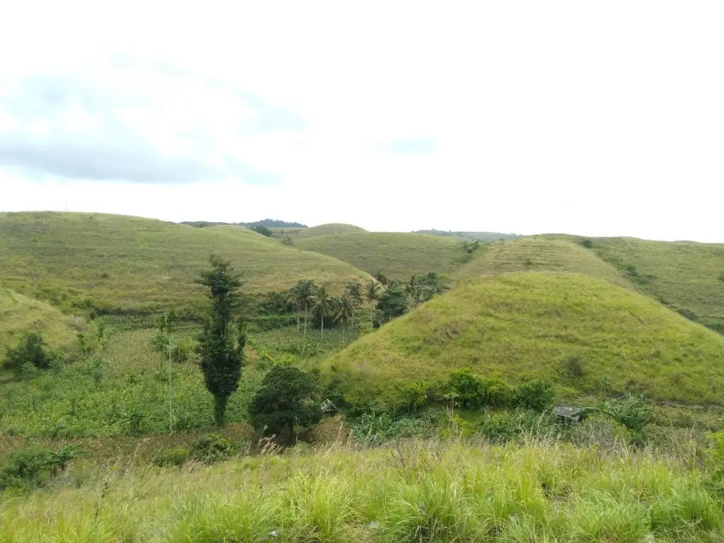 Пенида: Dungkap Mount View