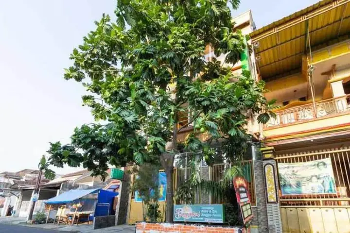 Маланг: Homestay Gayatri Sawojajar near Univ. Negeri Malang Kampus 2 RedPartner