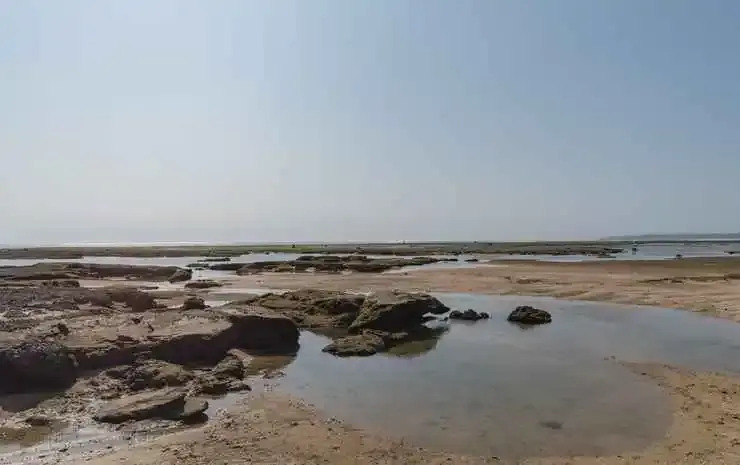 Уджунг-Гентенг: RedDoorz near Pantai Ujung Genteng