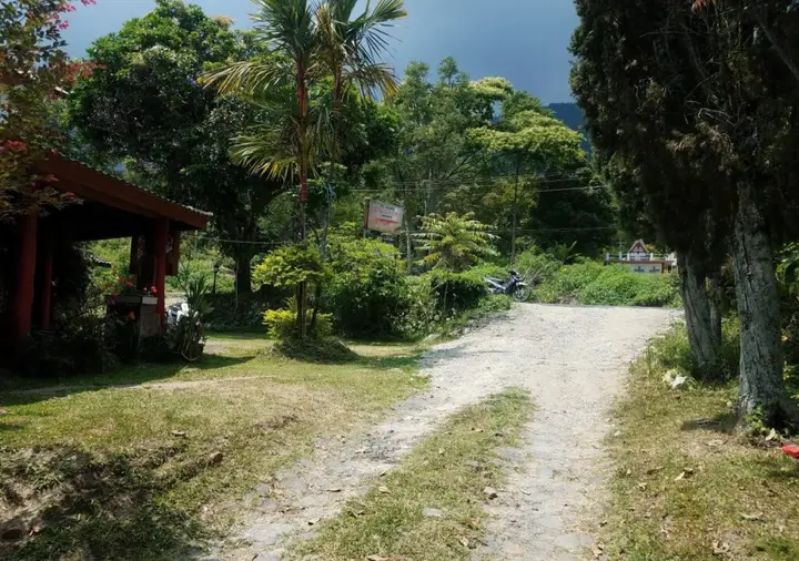 Озеро Тоба: Toba View Homestay