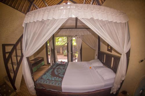 Пурвакерти: Pacha Hostel