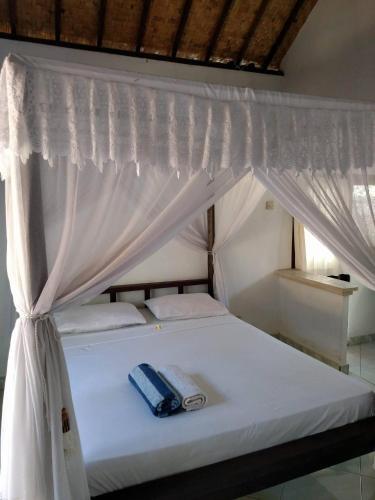 Пурвакерти: Pacha Hostel