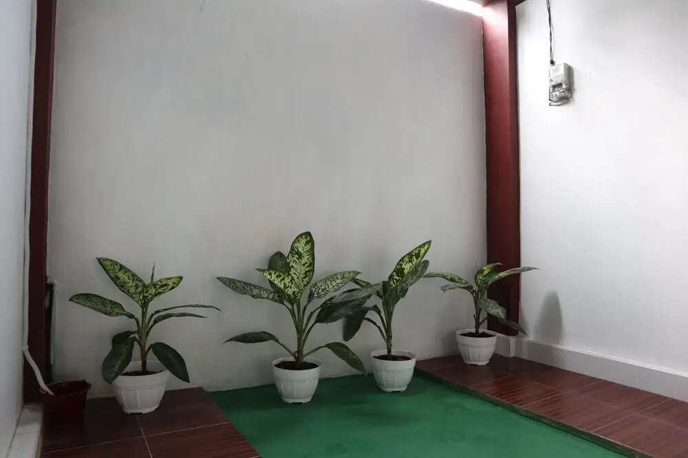 Hotel Penginapan Cemara Syariah by OYO Rooms — фото 1