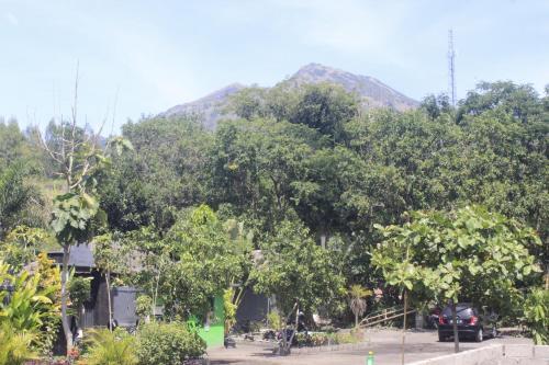 Кинтамани: Lava Stone Hostel