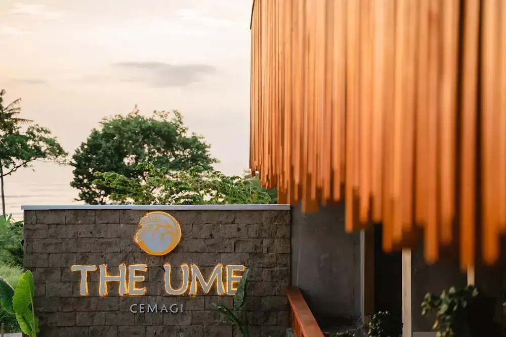 Сесе: The Ume Cemagi