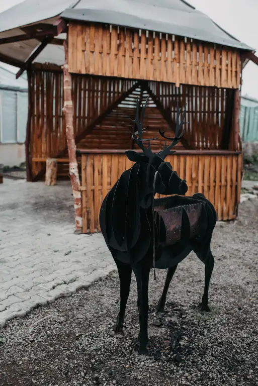 carousel image 3