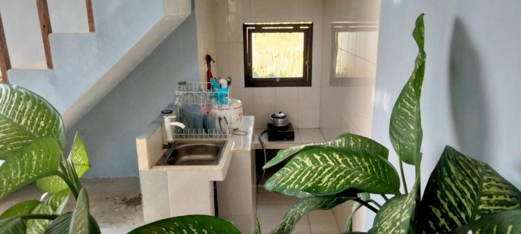 Маланг: Villa Kebun Jeruk Syariah Malang by ecommerceloka