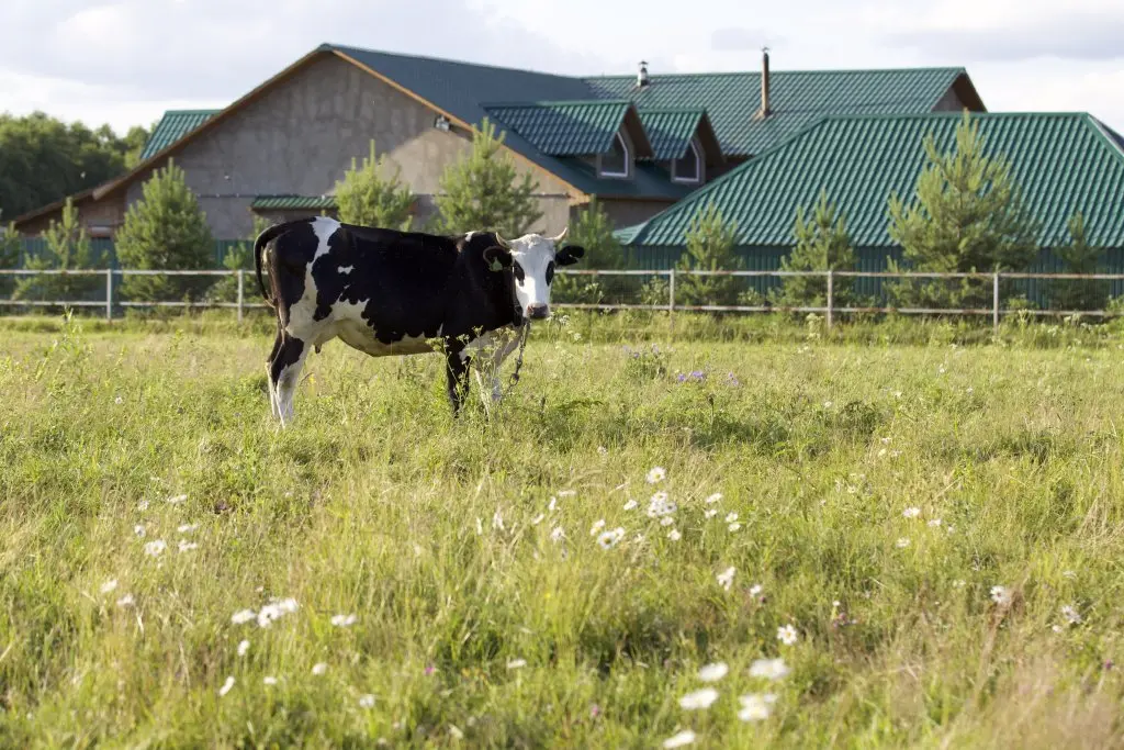 Хороброво: El Rancho Guest House