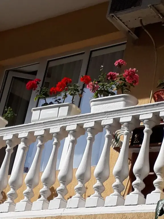 Сочи: Гостевой Дом Элеон