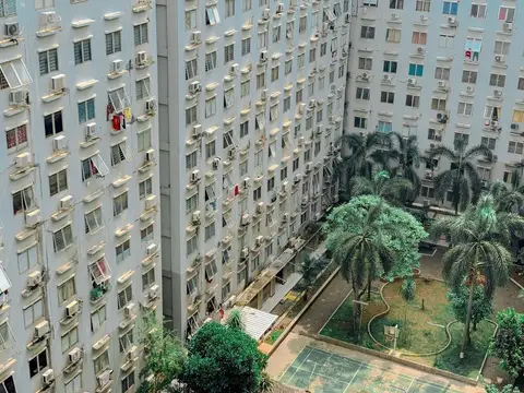 Nice and Homey 2BR City Park Apartment — фото 1