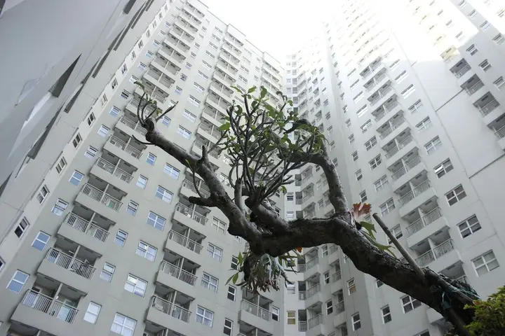 Бандунг: Cozy 2BR Apartment at Parahyangan Residence Bandung near UNPAR