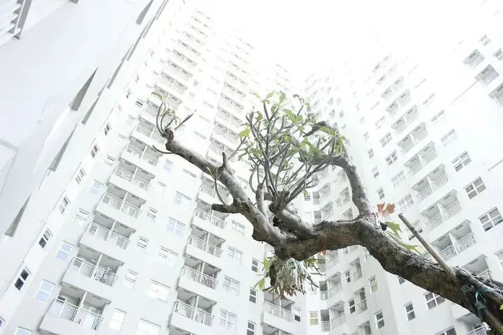 Бандунг: Comfy And Relax 1Br Apartment At Parahyangan Residence Near Unpar
