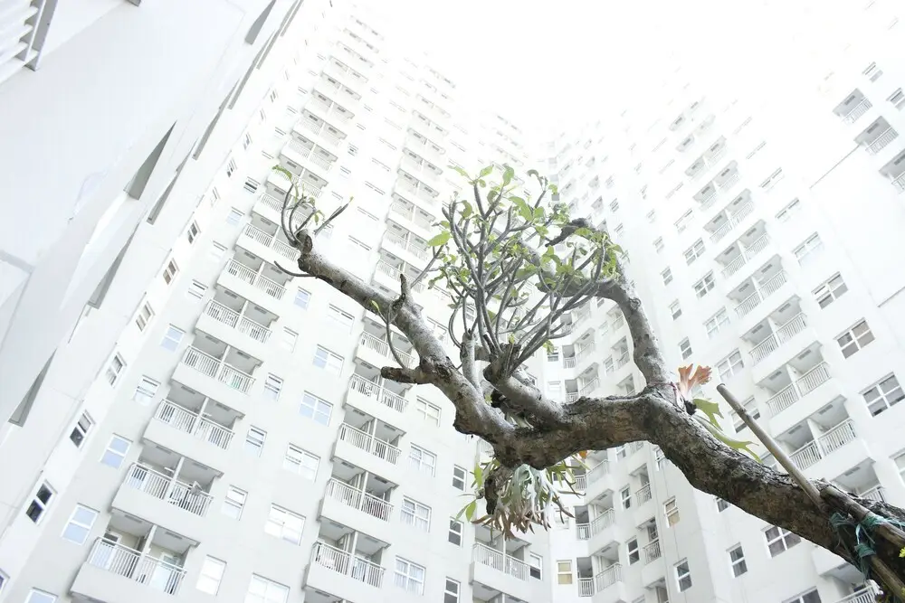 Бандунг: Comfy & Bright 1Br Apartment At Parahyangan Residence