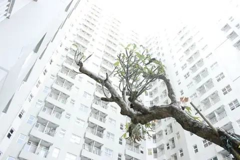 Comfy & Bright 1Br Apartment At Parahyangan Residence — фото 1