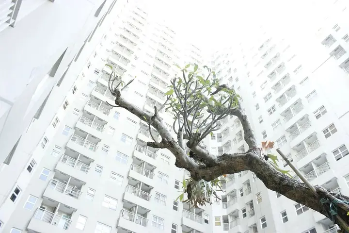 Бандунг: Cozy 1Br Apartment At Parahyangan Residence Bandung