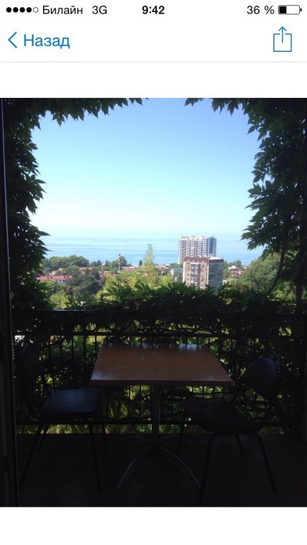 Сочи: Eva Guest House