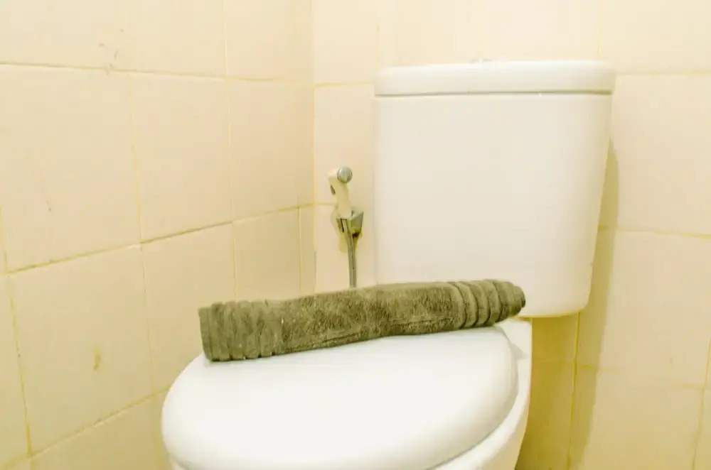 Южный Тангеранг: Fancy And Nice Studio At Serpong Greenview Apartment