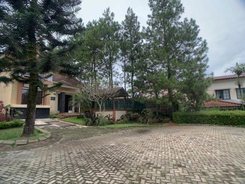 Чипанас: Mn Villas