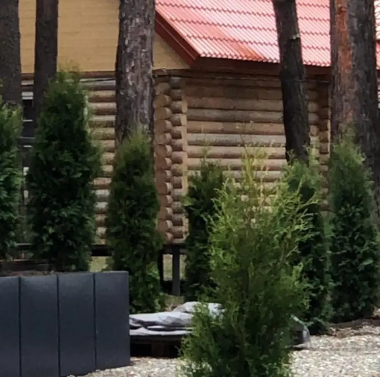 Архыз: Гостевой дом Forest Cottage
