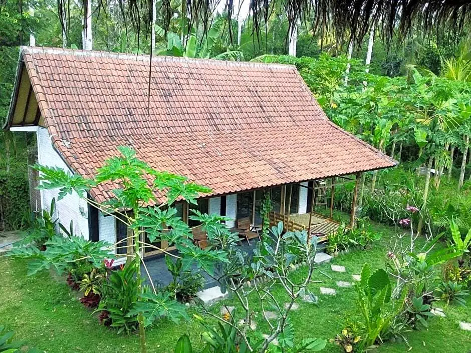 Мендойо: Jungle Surf House - surf & stay