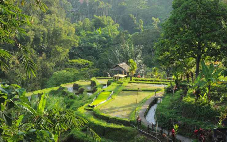 Пенебел: Sang Tirta Farm Living Resort