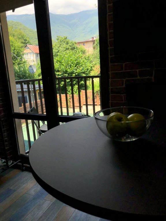 Красная Поляна: Freedom Apartaments Vosnesenskaya Apartments