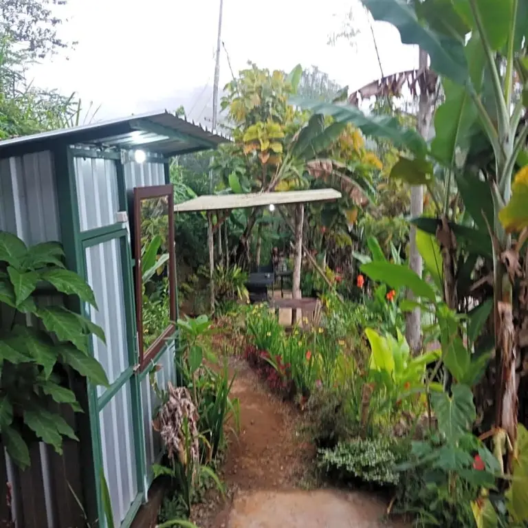 Батурити: ECO Bedugul adventurer camp