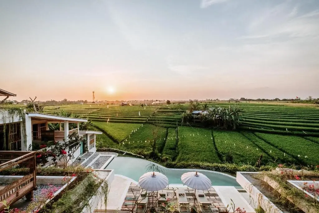 Чангу: Boho Canggu