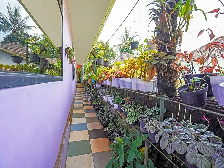 Надисари: OYO Homes 91103 Desa Wisata Lembah Gunung Tumpeng