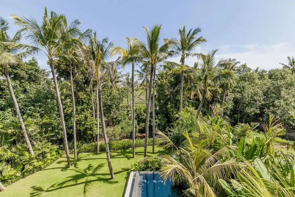 Переренан: Design Perfection in Pererenan