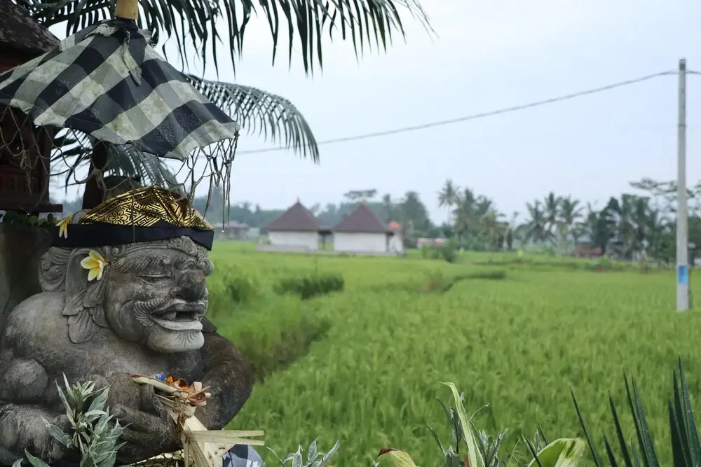 Убуд: Royal Jj Ubud Resort and Spa Deluxe Standard Room
