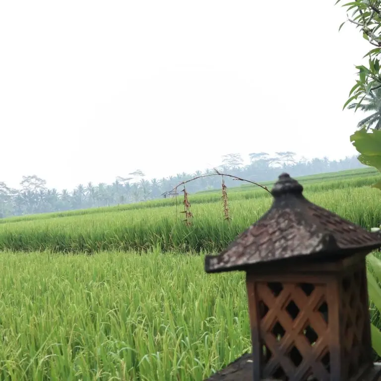 Убуд: Royal Jj Ubud Resort and Spa Deluxe Standard Room
