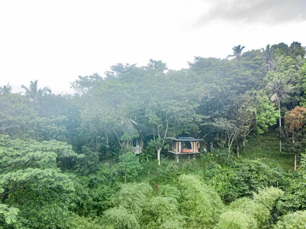 Сидемен: Bird Hills Bamboo House