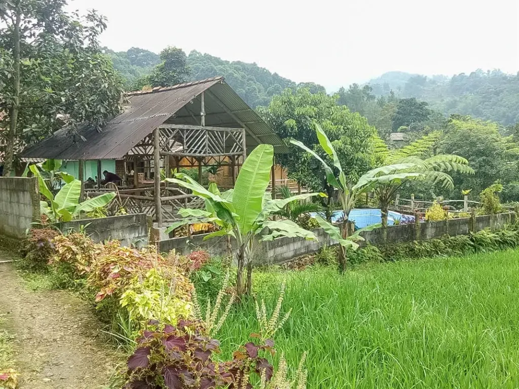 Читарингул: De Salak Homestay Gunung Salak RedPartner
