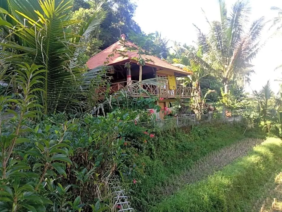 Пенебел: Babahan Farmstay