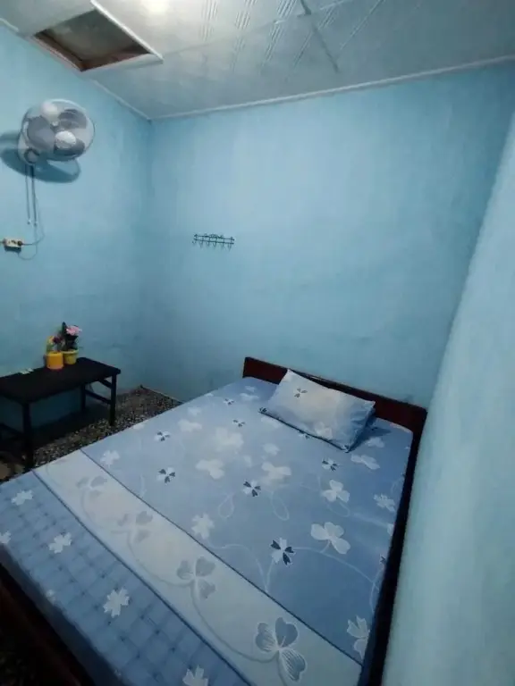 Баньюванги: New oliviahomestay