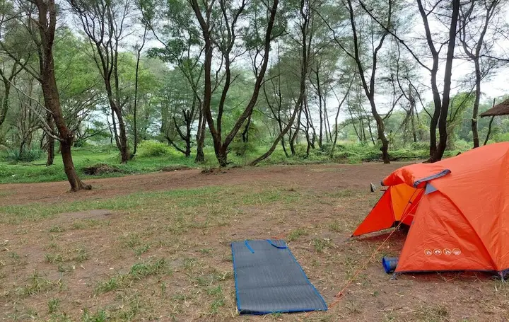 Батуретно: Goa Cemara Camping Ground