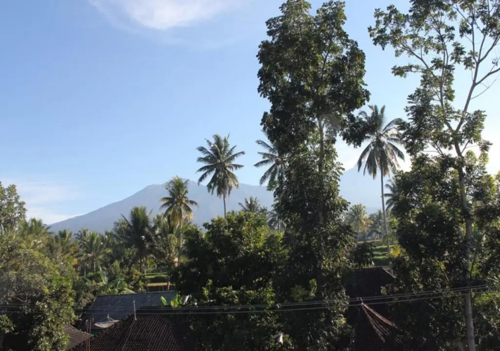 Прайя: Link Homestay Foods & Drinks
