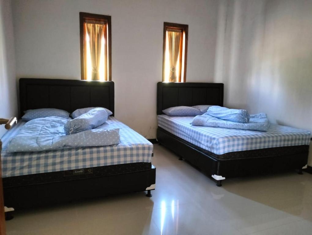Надисари: Bromo Seruni Guesthouse