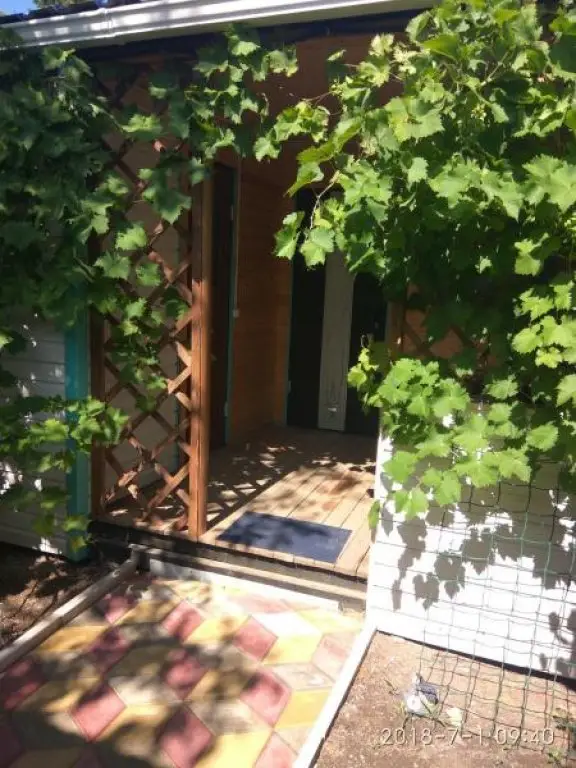 Должанская: Lenina Guest House
