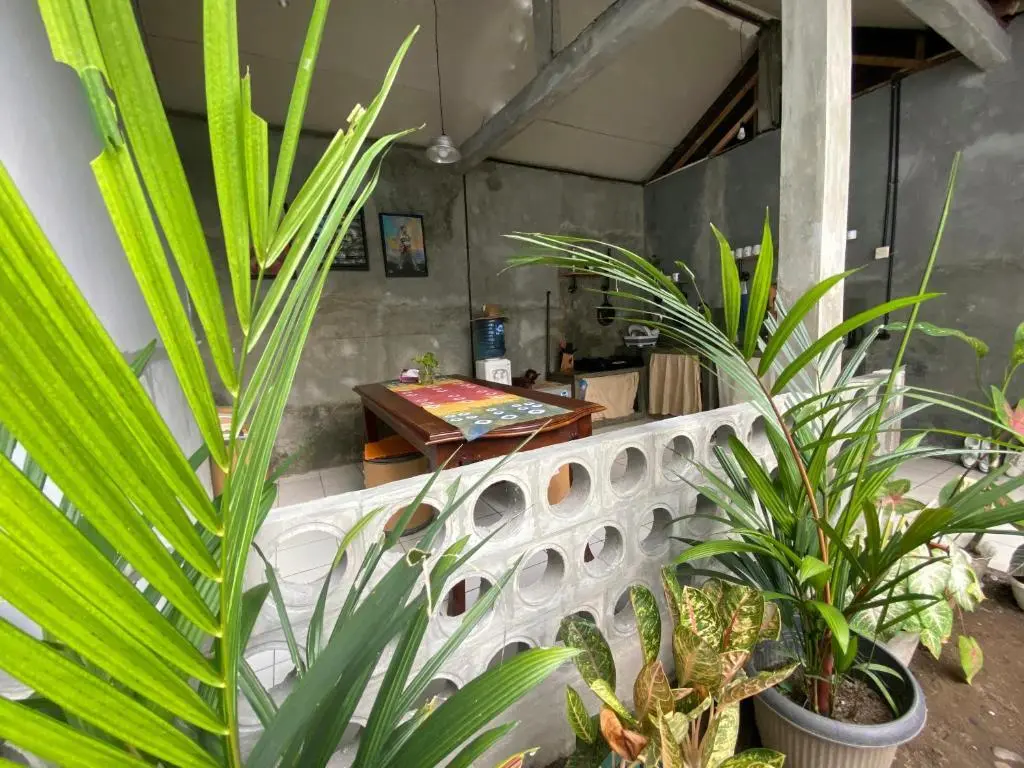 Джокьякарта: Reene'o Guesthouse