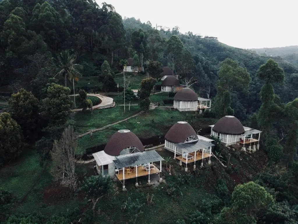 Саву: Manulalu Jungle