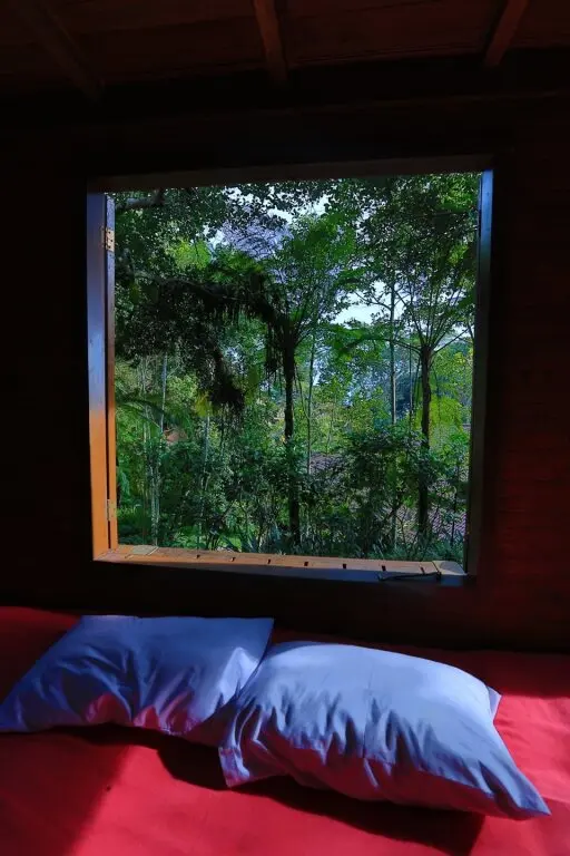 Травас: Kaliandra Sejati Eco Resort & Farm