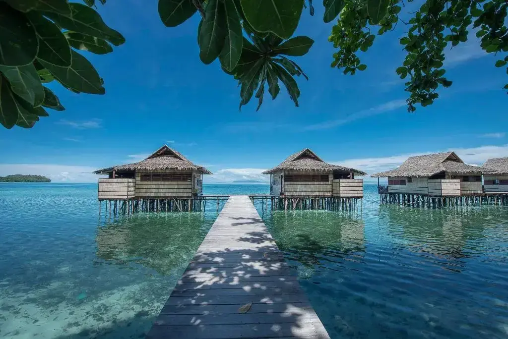 Остров Бари: Papua Paradise Eco Resort