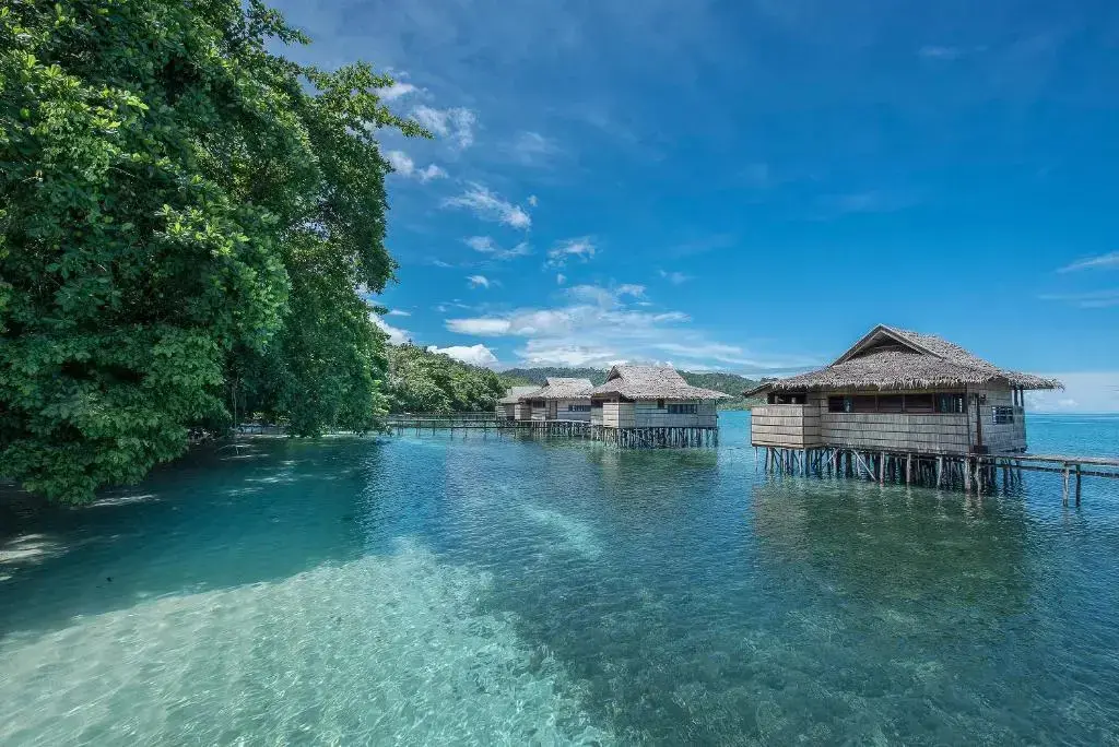 Остров Бари: Papua Paradise Eco Resort