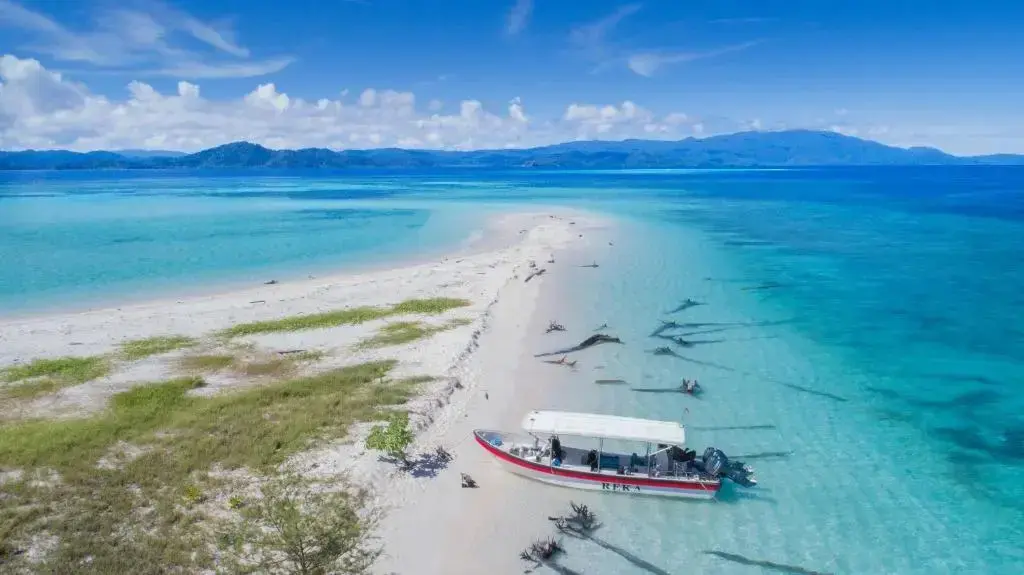 Остров Бари: Papua Paradise Eco Resort