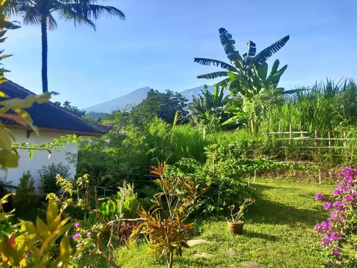 Сенару: Bale Sebaya Bungalows